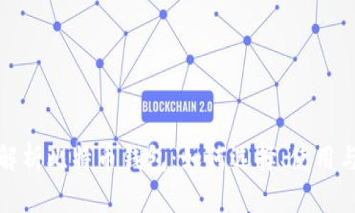 全面解析比特币钱包:如何选择、使用与安全