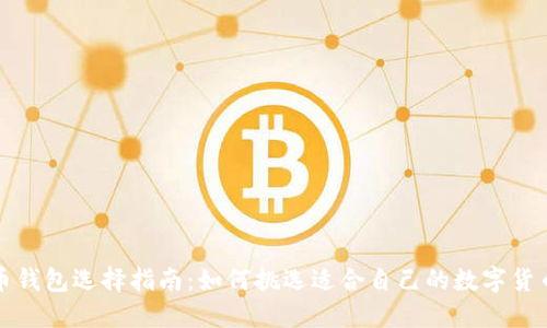 比特币钱包选择指南:如何挑选适合自己的数字货币钱包