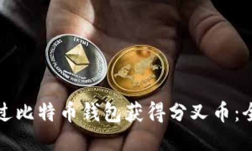如何通过比特币钱包获得分叉币:全面指南