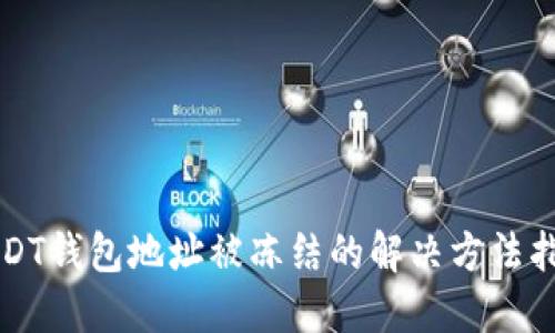 USDT钱包地址被冻结的解决方法指南