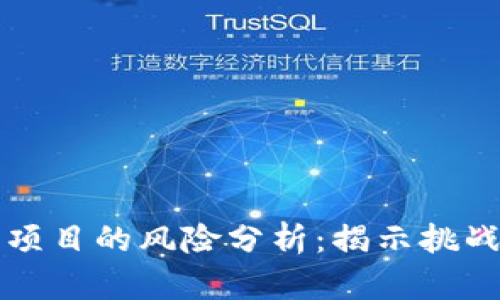 区块链钱包项目的风险分析:揭示挑战与应对策略