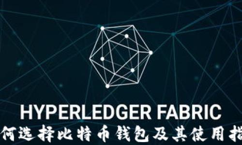 如何选择比特币钱包及其使用指南